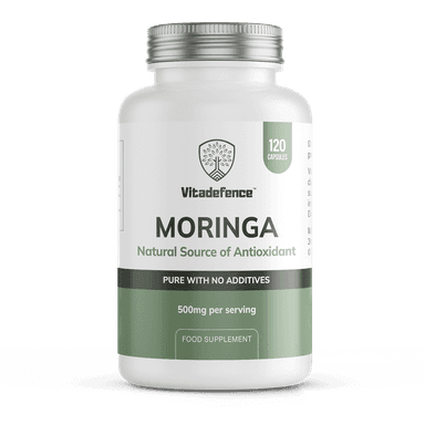 Moringa pot voor